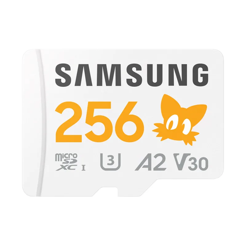 CARD Micro Card 256GB Samsung Sonic incl. Adaptateur Retail