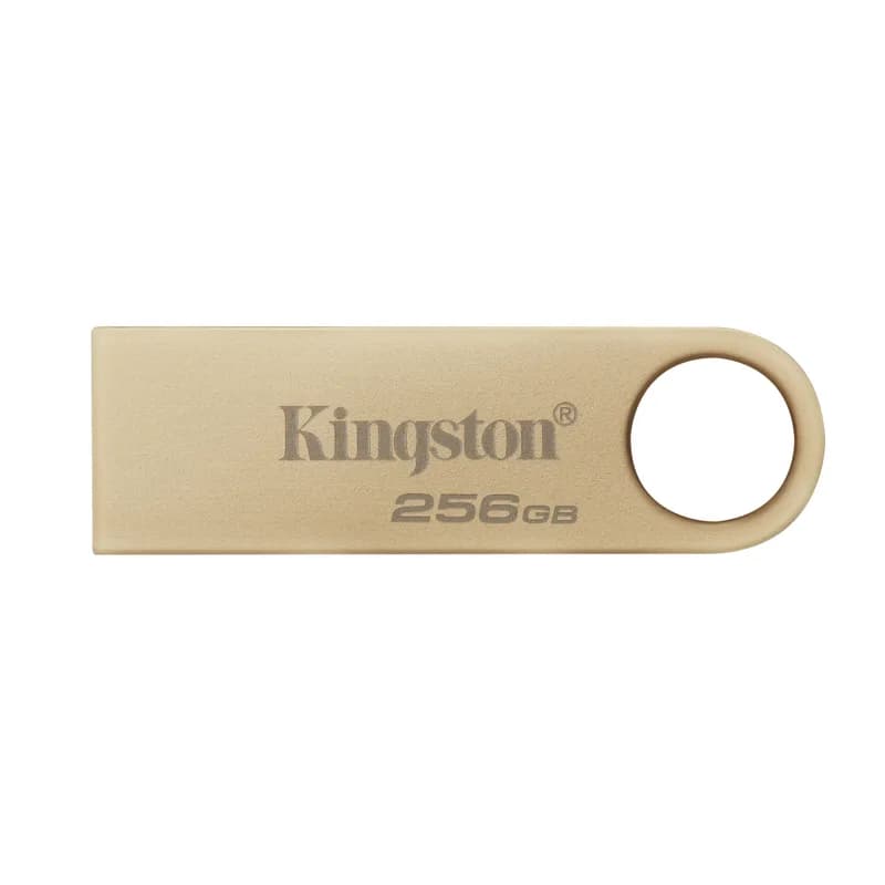 STICK 256GB DT USB 3.2 220MB/S GEN 1