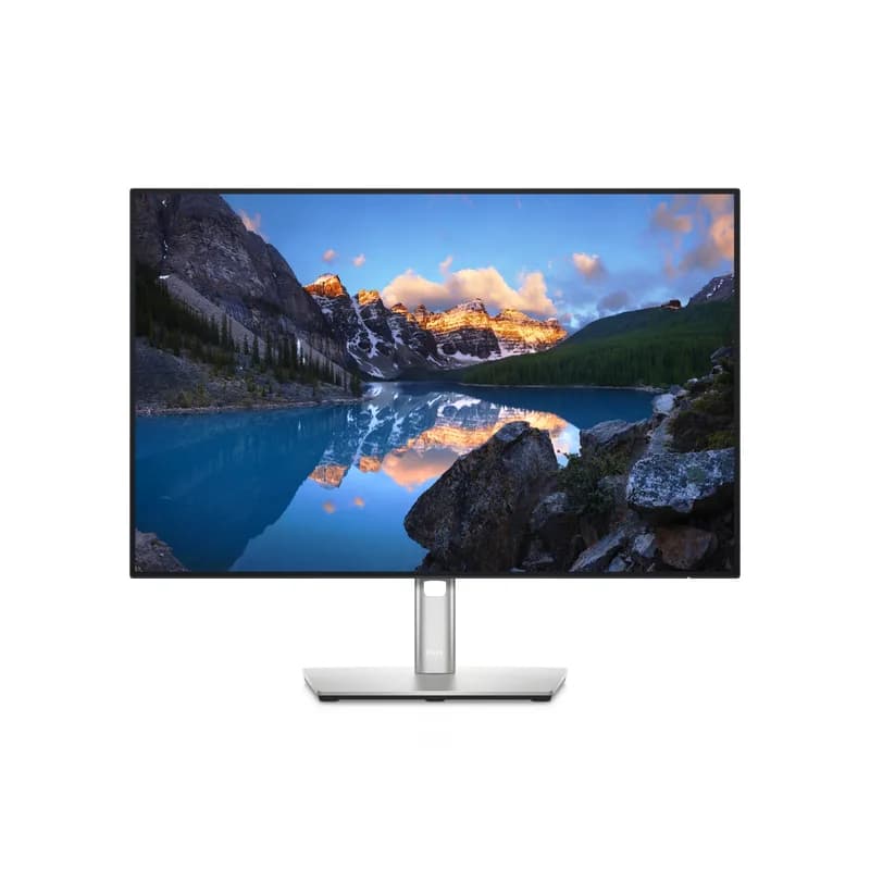 61,13cm/24'' (1920x1200) Dell UltraSharp U2421E 210-AXMB 16:10 5ms HDMI 2xDisplayPort USB-C VESA Pivot WUXGA Silver