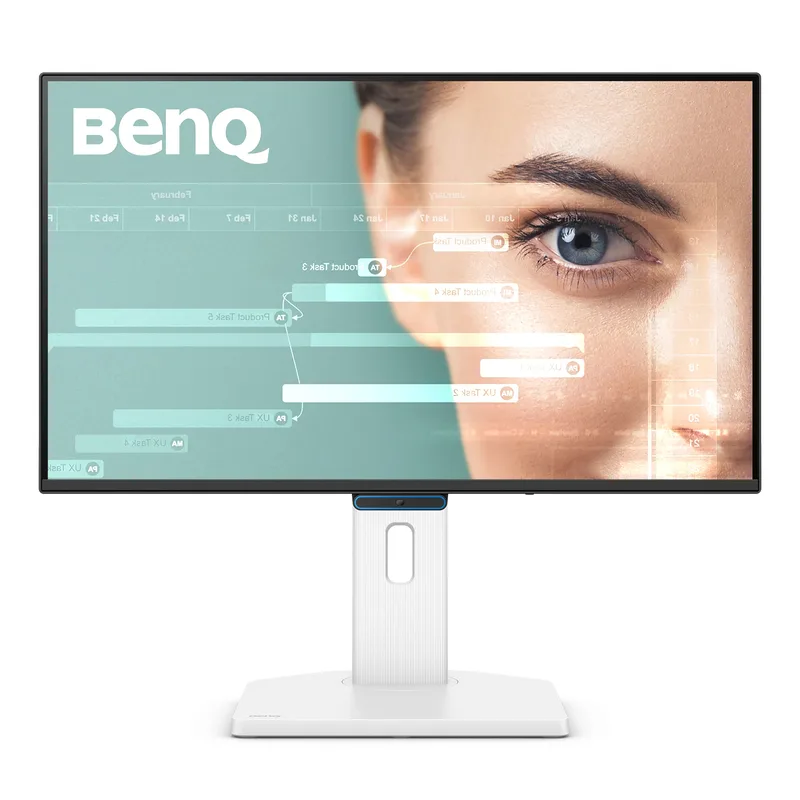 BenQ Moniteur GW2490TC LCD-Display 60,45 cm (23,8")