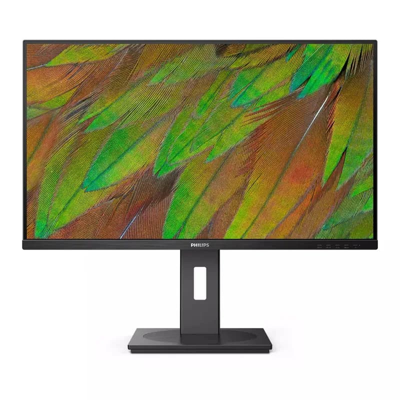 Philips 80.0cm (31.5") 32B1N3800 16:09 HDMI+DP+USB black